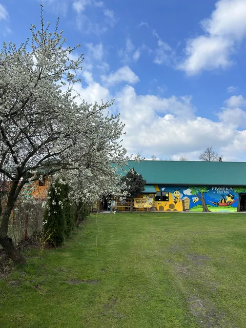 Budynek edukacyjny Pasieki u Trutnia