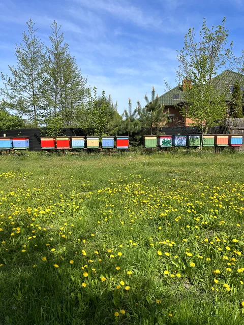 Ule na terenie pasieki